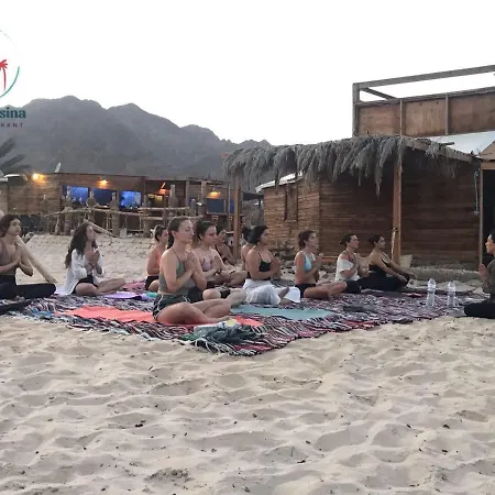 New Bella Sina Camp